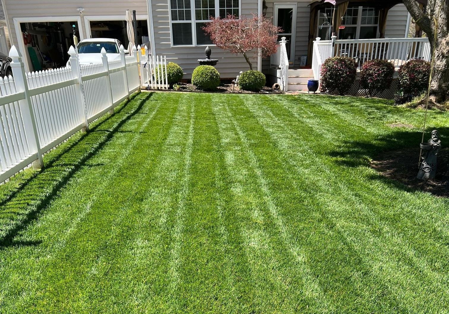 April Tall Fescue Lawn Tips Spring Lawn Care Tips